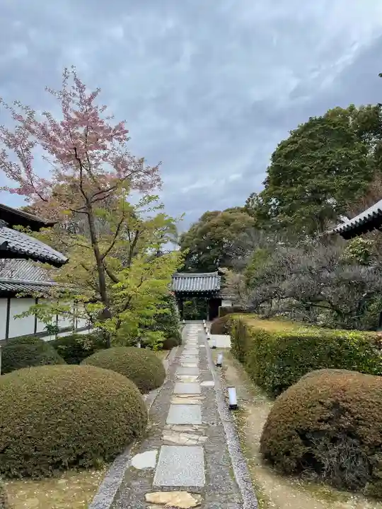 雲龍院(京都府)