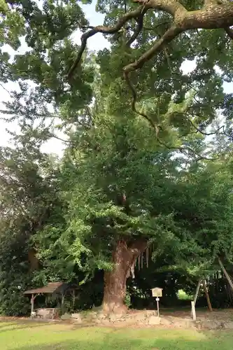 國分寺（国分寺）(京都府)