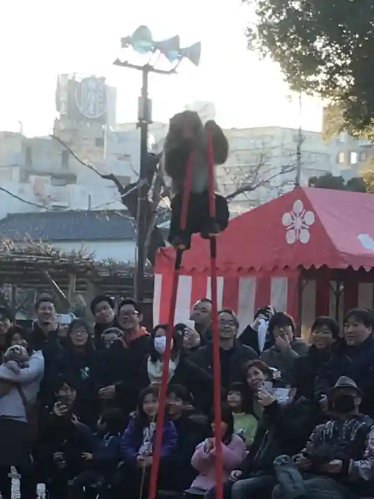 亀戸天神社のお祭り
