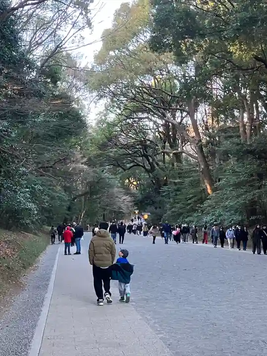 明治神宮(東京都)