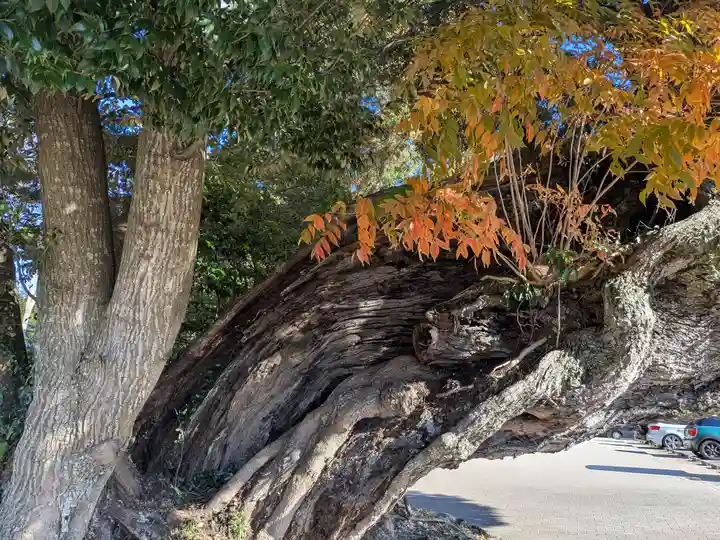鹿島神宮(茨城県)