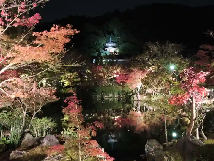 高台寺(高台寿聖禅寺・高臺寺)(京都府)