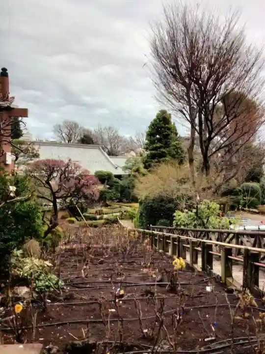 東長谷寺 薬王院(東京都)
