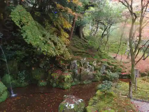 慈照寺（慈照禅寺・銀閣寺）の庭園