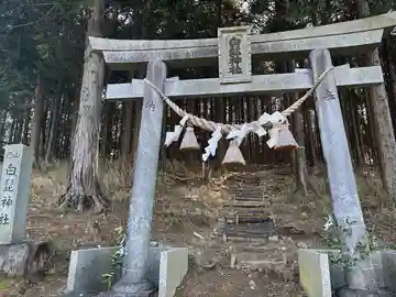白髭神社(愛知県)