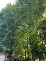 穏田神社(東京都)