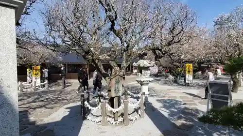 綱敷天満宮の自然