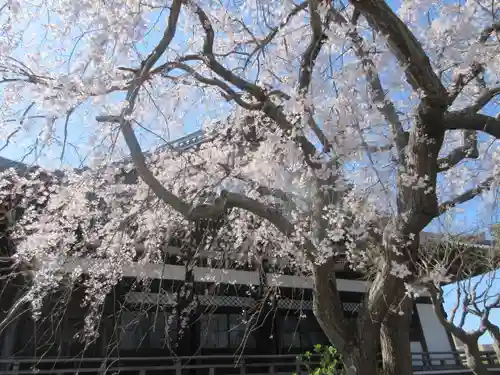 本覚寺の景色