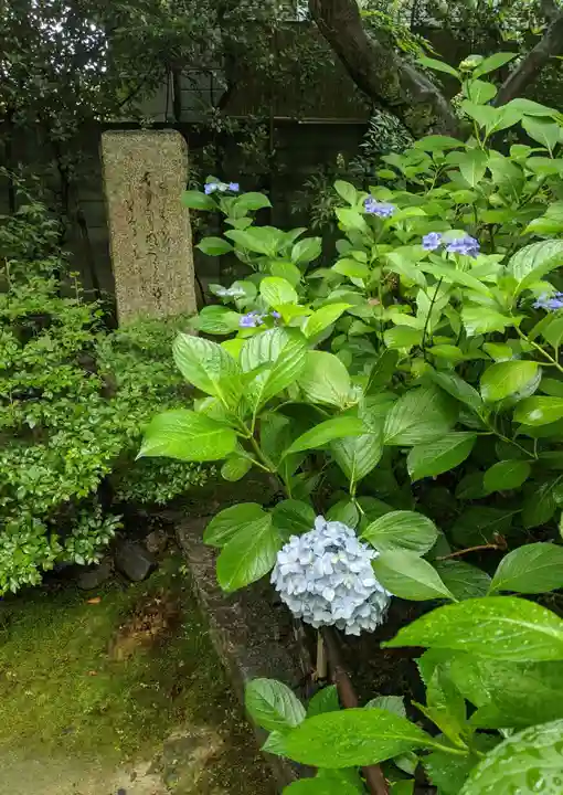 元慶寺(京都府)