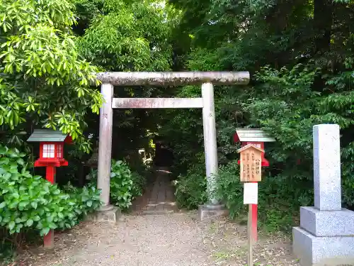 鷲宮神社の鳥居