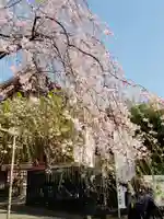 五條天神社の自然