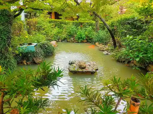 青大悲寺の庭園