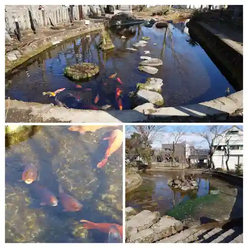阿蘇神社(熊本県)