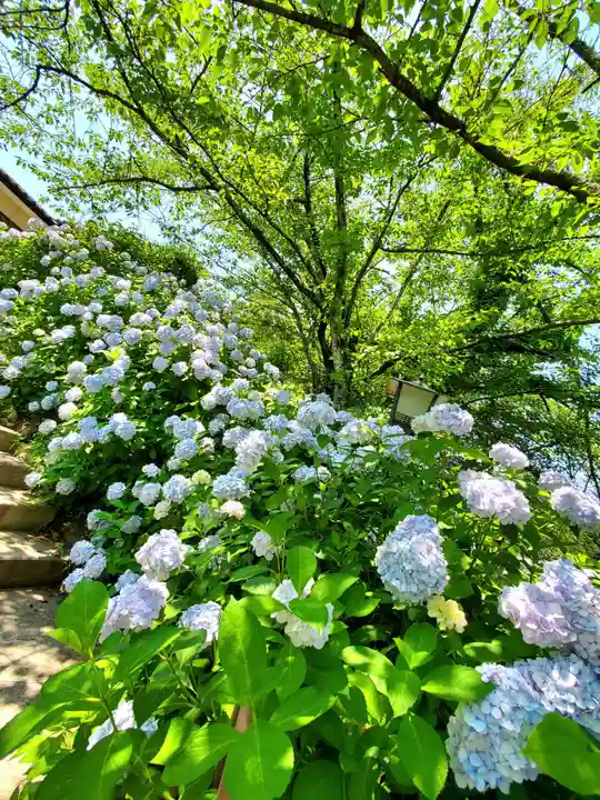 白和瀬神社(福島県)