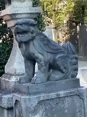 白鬚神社の狛犬