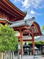 興福寺 南円堂(奈良県)