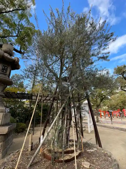 湊川神社(兵庫県)