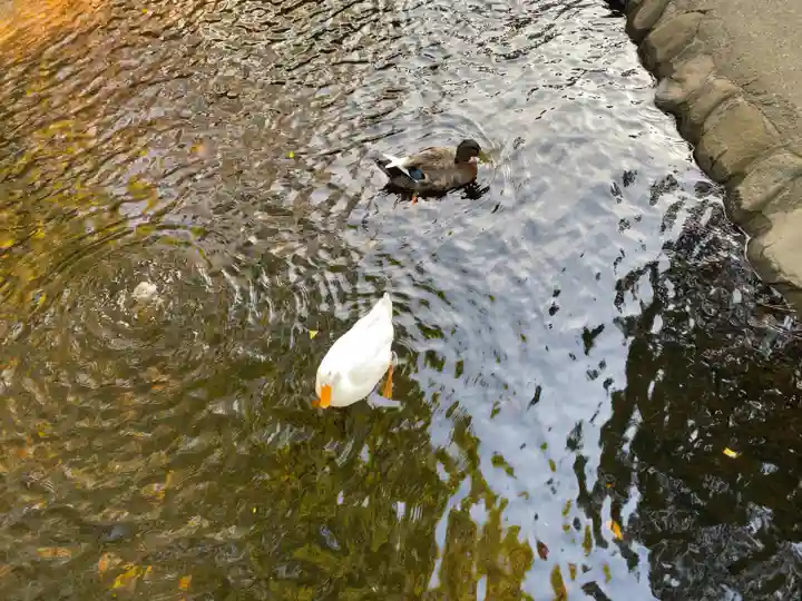 平塚八幡宮(神奈川県)
