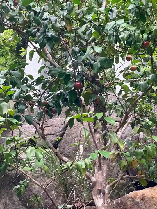 救馬溪観音(和歌山県)