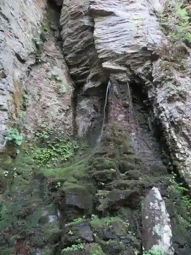 御嶽神社(王滝口）里宮の自然