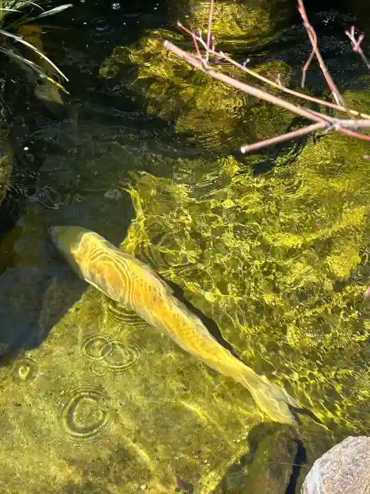 蛇窪神社(東京都)
