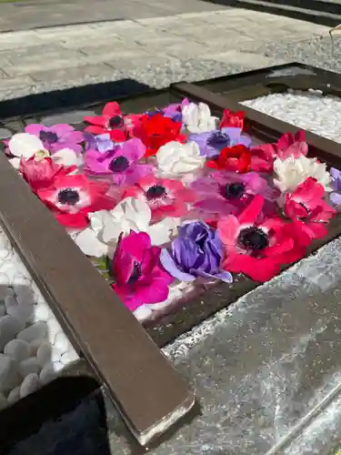 根岸八幡神社(神奈川県)