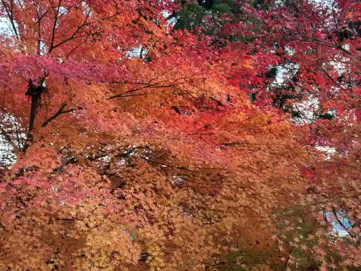 国宝 大法寺(長野県)