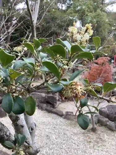 市原稲荷神社の自然