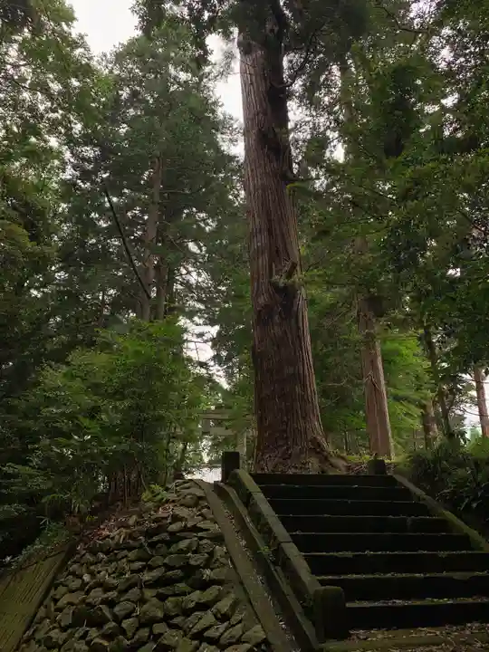 日吉神社(千葉県)