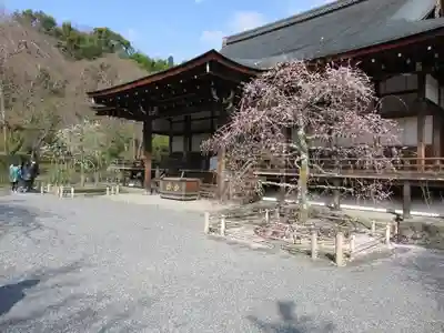 天龍寺のその他建物