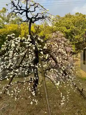 伊勢の国 四天王寺(三重県)