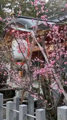 長岡天満宮の自然