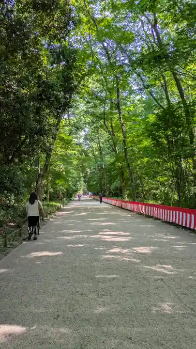 賀茂御祖神社(下鴨神社)(京都府)