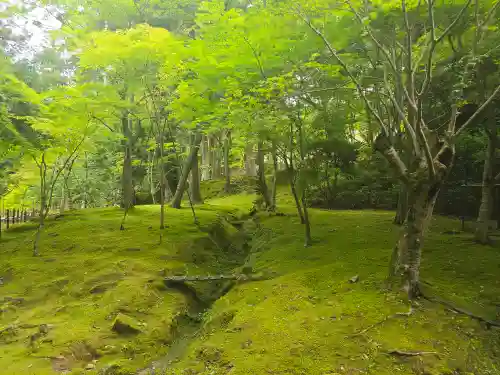 西明寺(滋賀県)