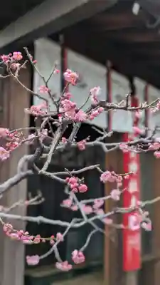 市比賣神社(京都府)