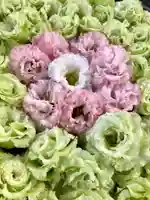 鹿島台神社の自然