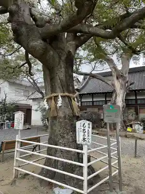 生根神社(大阪府)