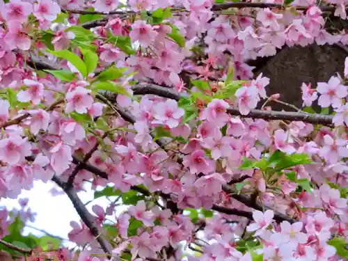 元三島神社の自然