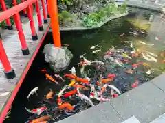 相模国総社六所神社(神奈川県)