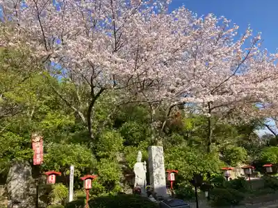 大船観音寺(神奈川県)