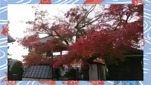 大蔵院(群馬県)