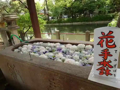 住吉大社(大阪府)