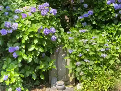 佛日庵(神奈川県)