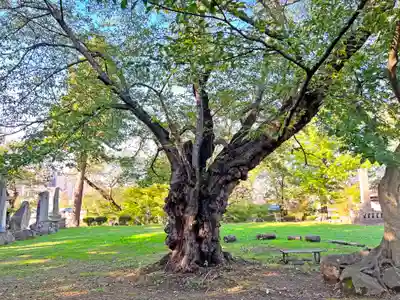 弘前八坂神社(青森県)