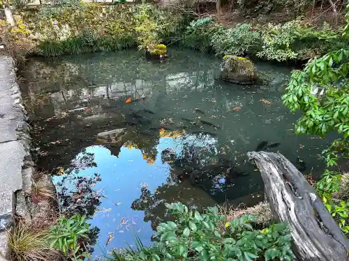 大縣神社の動物