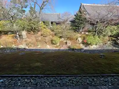 相国寺（相国承天禅寺）(京都府)