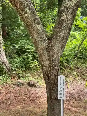 土津神社｜こどもと出世の神さま(福島県)