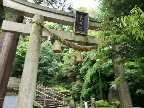 泉神社の鳥居