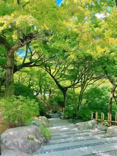 東福禅寺（東福寺）の{uncategorized: "未分類", other: "その他", undefined: "問題あり", building: "その他建物", grave: "お墓", sacred_gate: "鳥居", guardian: "狛犬", statue: "像", buddha: "仏像", history: "歴史", nature: "自然", garden: "庭園", animal: "動物", pagoda: "塔", temizu: "手水舎", mountain_gate: "山門・神門", sanctuary: "本殿・本堂", subordinate: "末社・摂社", art: "芸術", scenery: "景色", jizo: "地蔵", ema: "絵馬", goshuin: "御朱印", omikuji: "おみくじ", items: "授与品その他", amulet: "お守り", goshuincho: "御朱印帳", eats: "食事", festival: "お祭り", votive_dance: "神楽", shichigosan: "七五三参", wedding: "結婚式", experience: "体験その他", initially: "初詣", around: "周辺", anti_infection: "感染症対策"}