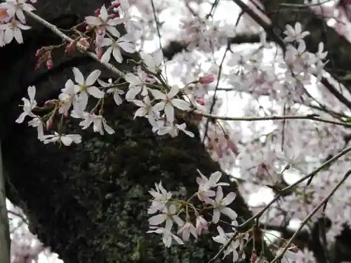 水火天満宮(京都府)
